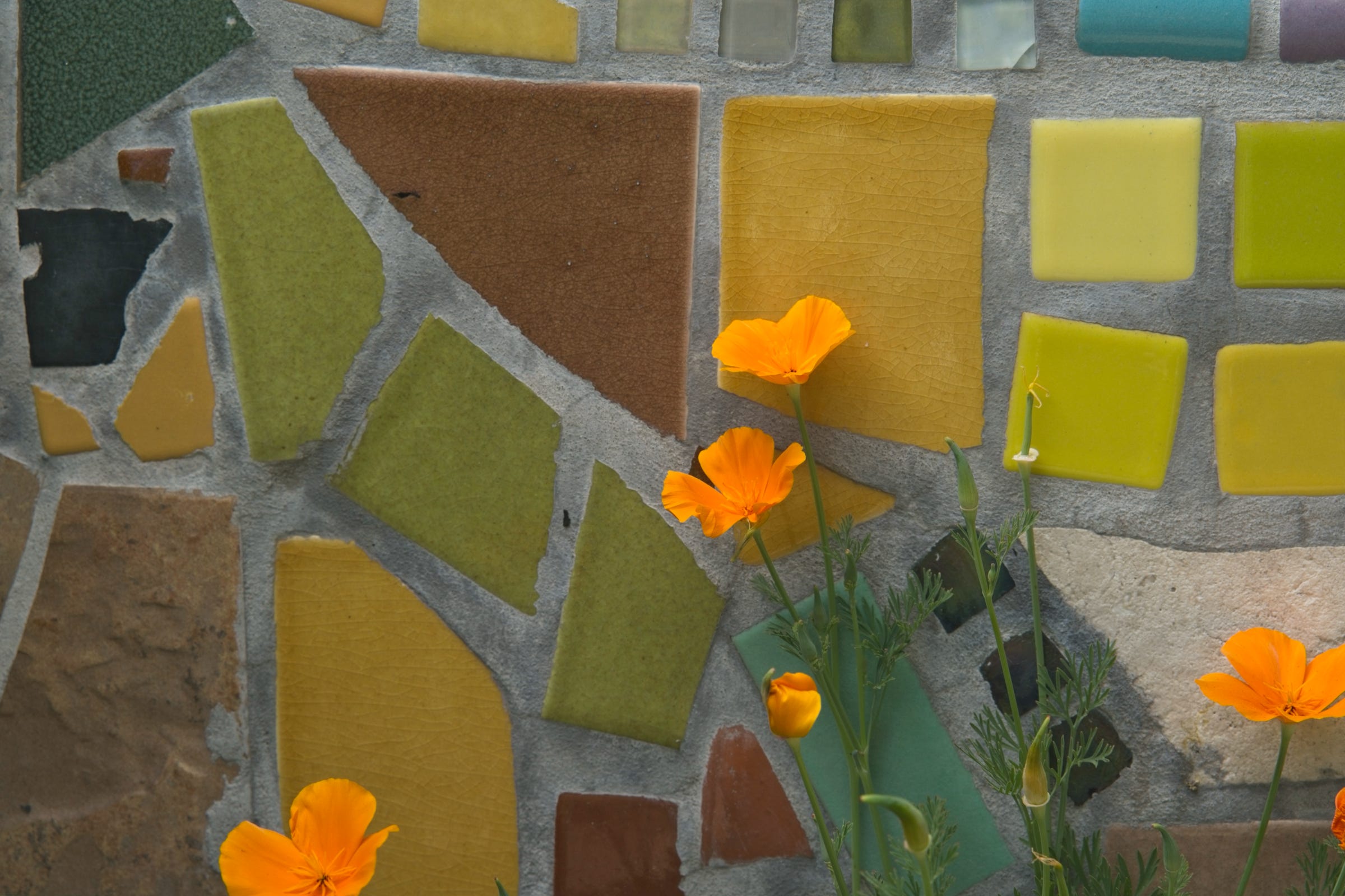 California poppies bloom against a custom mosaic wall done by Annette